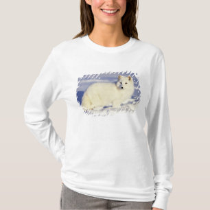 T-shirt États-Unis, Alaska. Renard arctique en pelage d'hi