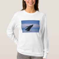 États-Unis, Alaska, Tongass National Forest, Bossu