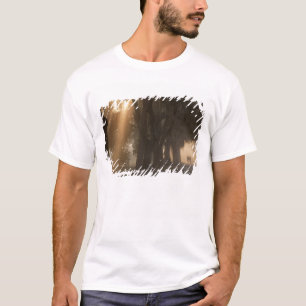 T-shirt États-Unis; Amérique du Nord; Géorgie; Savannah. G