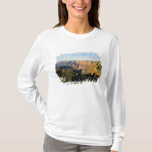 T-shirt États-Unis, Arizona, Grand Canyon National Park, V