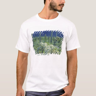 T-shirt États-Unis, Arizona, Organ Pipe Cactus National