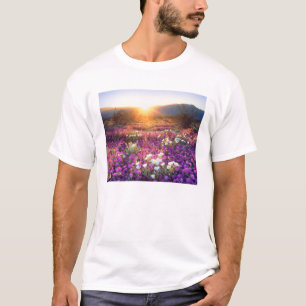 T-shirt États-Unis, Californie, Anza-Borrego Desert State