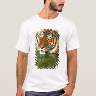 T-shirt États-Unis, Californie, comté de Los Angeles. Beng