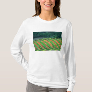 T-shirt États-Unis, Californie, comté de Mendocino, en tre
