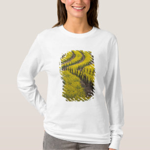 T-shirt États-Unis, Californie, Napa Valley, Los Carneros 