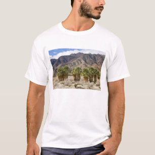 T-shirt États-Unis, Californie, Parc d'État du désert d'An