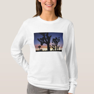 T-shirt États-Unis, Californie, Parc national de Joshua Tr