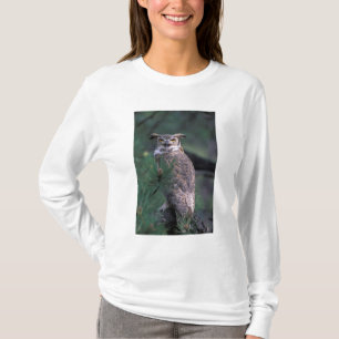 T-shirt États-Unis, CO, Colorado Springs. Grand-duc d'Amér
