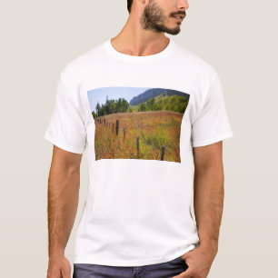 T-shirt États-Unis, Colorado, Forêt nationale de San Juan,