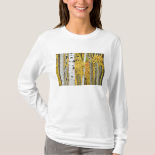 T-shirt États-Unis, Colorado, montagnes Rocheuses.  Aspec