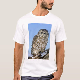T-shirt États-Unis, Colorado. Portrait de hibou moyen-duc 