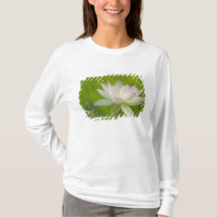 T-shirt États-Unis, DC, Washington, Kenilworth Aquatique