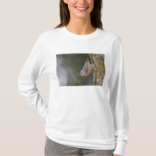 T-shirt États-Unis, État de Washington, Red Brested Nuthat