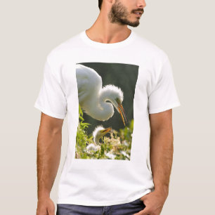 T-shirt États-Unis, Floride, St. Augustine, Ferme de croco