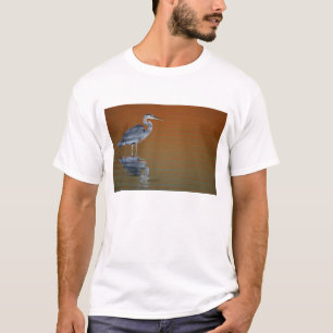 T-shirt États-Unis, Floride, St. Petersburg, Fort De Soto 
