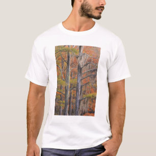 T-shirt États-Unis, Géorgie, parc d'État George Smith, cyp