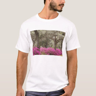 T-shirt Etats-Unis, Géorgie, Savannah, Printemps de l'hist