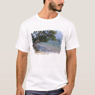 T-shirt États-Unis, Hawaï, Kauai, paysage de plage. RF)