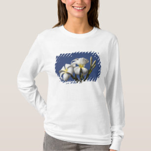 T-shirt États-Unis, Hawaï, Kauai, plumeria blanc.