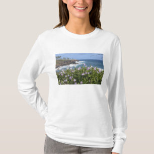 T-shirt États-Unis, Hawaï, Kauai, près de Kapaa, nord-oues