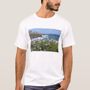 T-shirt États-Unis, Hawaï, Kauai, près de Kapaa, nord-oues