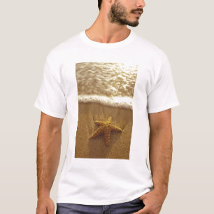T-shirt États-Unis, Hawaï, Maui, Maui, Kihei, Étoile de me