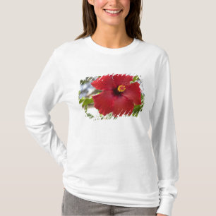 T-shirt États-Unis, Hawaï, Oahu. L'Hibiscus est la