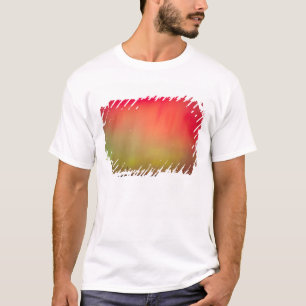 T-shirt États-Unis, Idaho. Aurore boréale, lumières nordiq