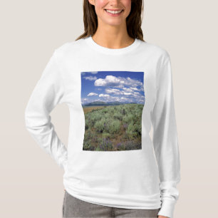 T-shirt États-Unis, Idaho, Comté de Camas Sauge et lupin
