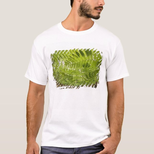T-shirt États-Unis, Inde, North Shore Lake Superior, (Devant)