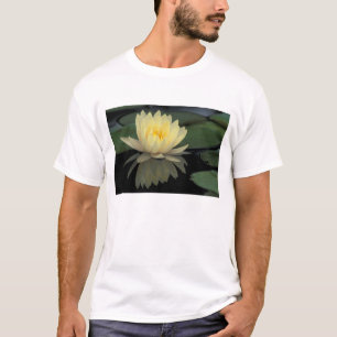 T-shirt États-Unis, Kentucky, Louisville Nénuphar domestiq