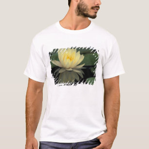 T-shirt États-Unis, Kentucky, Louisville Nénuphar domestiq