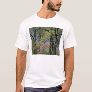 T-shirt États-Unis, Kentucky, Louisville.Redbuste orienta