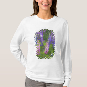 T-shirt États-Unis, Maine, Southwest Harbor. Lupin en fleu