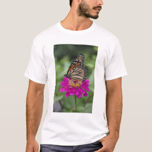 T-shirt États-Unis, Massachusetts, Boylston, Tower Hill