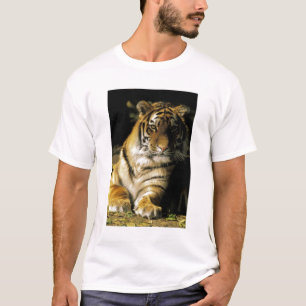 T-shirt États-Unis, Michigan, Détroit. Zoo de Détroit, tig