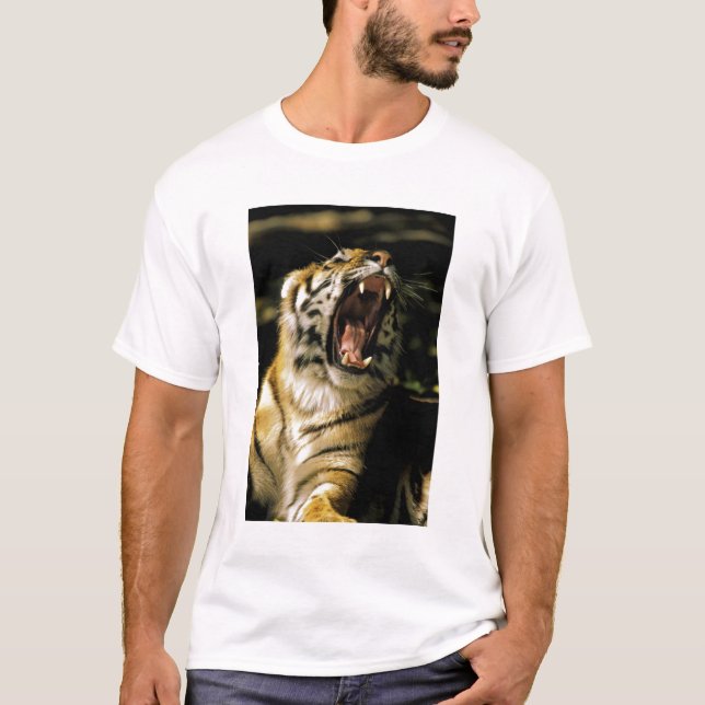 T-shirt États-Unis, Michigan, Détroit. Zoo de Détroit, tig (Devant)