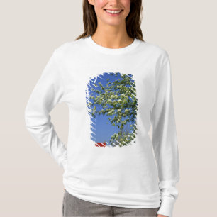T-shirt États-Unis, Michigan, East Tawas. Phare de Tawas a