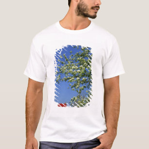 T-shirt États-Unis, Michigan, East Tawas. Phare de Tawas a