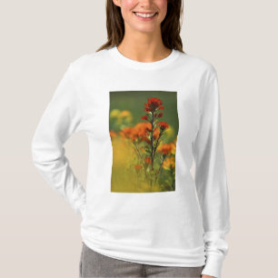 T-shirt États-Unis, Michigan, île Drummond, Maxton Plains,