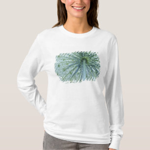 T-shirt États-Unis, Michigan. La carotte sauvage vue de