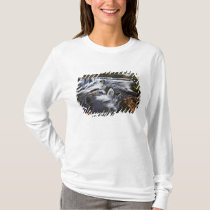T-shirt États-Unis, Michigan, Upper Peninsula. Bond Falls