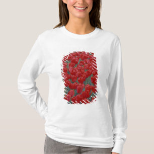 T-shirt États-Unis, Ohio, Cincinnati. Parterre de tulipes 