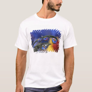 T-shirt États-Unis, Oregon, Portland, Gros plan de l'oise