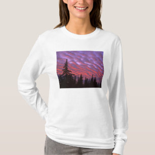 T-shirt États-Unis, Oregon, Three Sisters Wilderness, Vivi