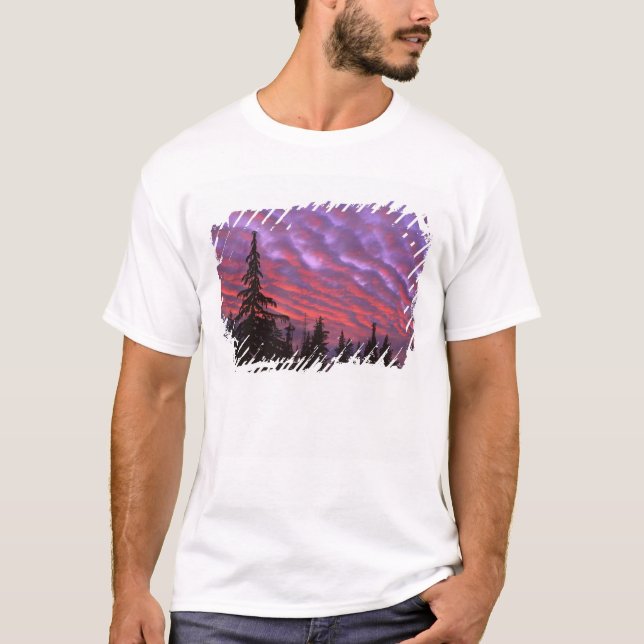 T-shirt États-Unis, Oregon, Trois Soeurs Sauvages, Vivid (Devant)
