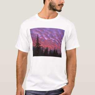 T-shirt États-Unis, Oregon, Trois Soeurs Sauvages, Vivid