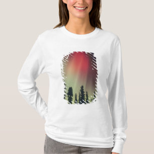 T-shirt États-Unis, région de Fairbanks, centre de l'Alask