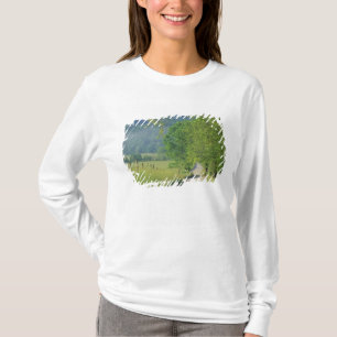 T-shirt États-Unis, Tennessee, Great Smoky Mountains NP,