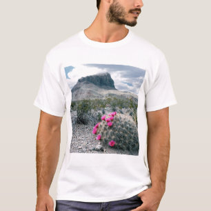 T-shirt États-Unis, Texas, Big Bend National Park.Flambée